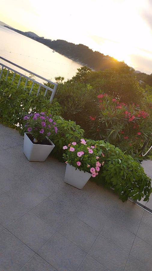 Apartments & Room Paula Stobreč المظهر الخارجي الصورة