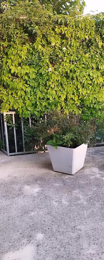 Apartments & Room Paula Stobreč المظهر الخارجي الصورة